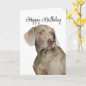 Weimaraner Geburtskarte Karte (Gelbe Blume)