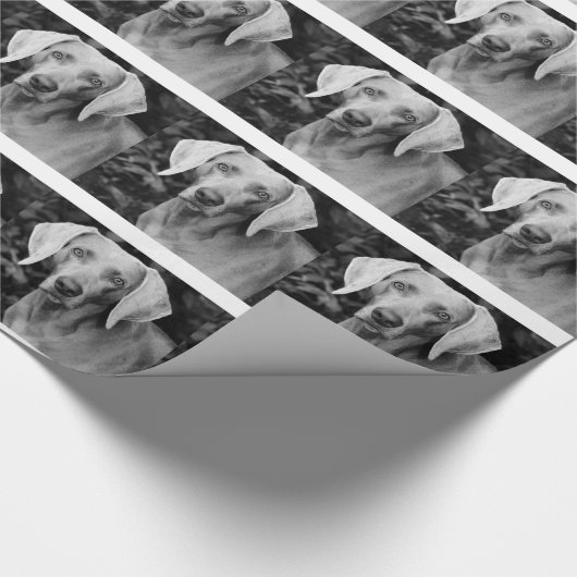 Weimaraner Geschenk-Verpackung Geschenkpapier (Ecke)