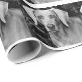 Weimaraner Geschenk-Verpackung Geschenkpapier (Rolleneckpunkt)