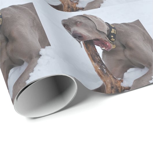Weimaraner Geschenkpapier (Rolleneckpunkt)