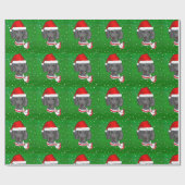 WEIMARANER GESCHENKPAPIER (Flach)