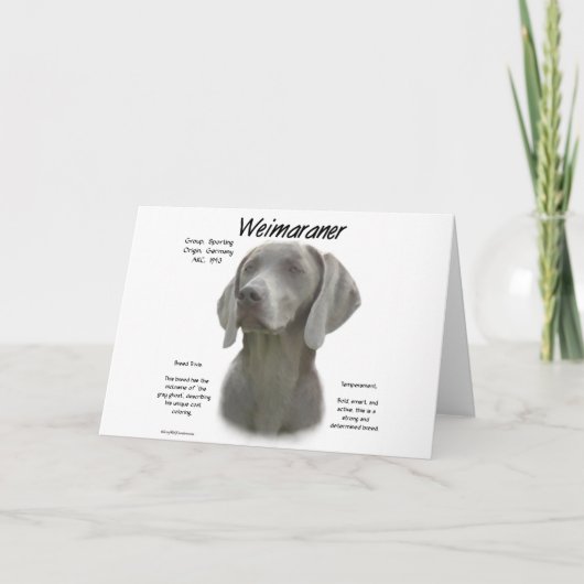 Weimaraner Geschichtsdesign Karte (Vorderseite)