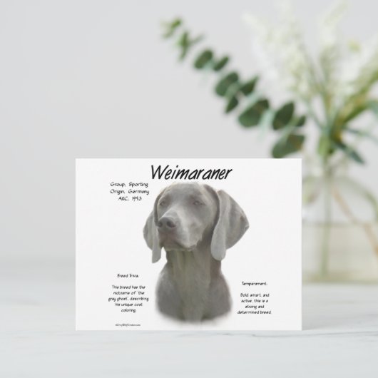 Weimaraner Geschichtsdesign Postkarte (Stehend Vorderseite)