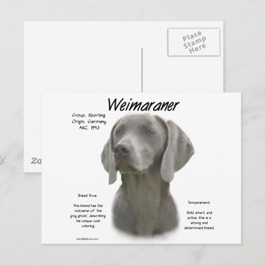 Weimaraner Geschichtsdesign Postkarte (Vorne/Hinten)