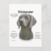 Weimaraner Geschichtsdesign Postkarte (Vorderseite)