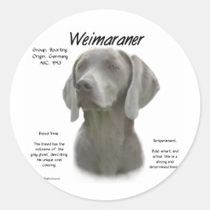 Weimaraner Geschichtsdesign Runder Aufkleber