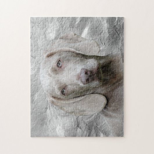 Weimaraner Gesicht Puzzle (Vertikal)