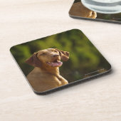 Weimaraner Getränkeuntersetzer (Linke Seite)