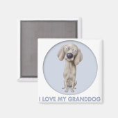 Weimaraner Granddog Magnet (Vorderseite/Rückseite)