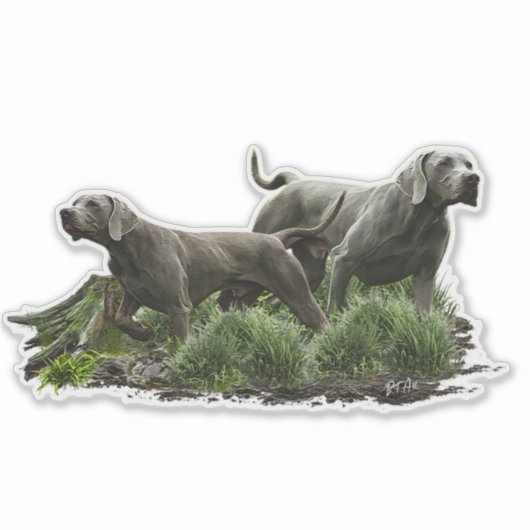 Weimaraner, "Gray Ghost" Aufkleber (Vorderseite)