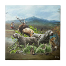 Weimaraner, "Gray Ghost"