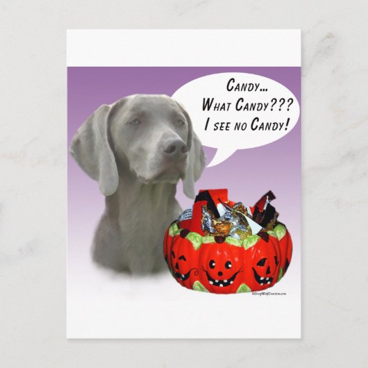 Weimaraner Halloween Candy Postkarte (Vorderseite)