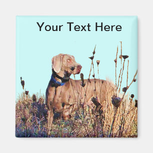 Weimaraner holen an zurück magnet