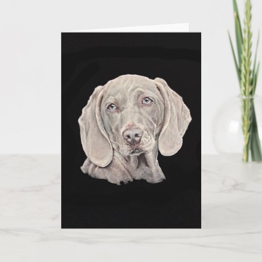 Weimaraner Hund auf schwarz. Karte (Vorderseite)