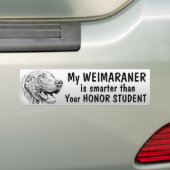 Weimaraner Hund Autoaufkleber (Auf Auto)