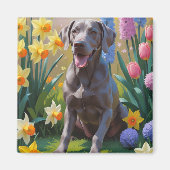 Weimaraner-Hund Frühlingsblumen Malerei Magnet (Vorne)