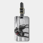 Weimaraner Hund Gepäckanhänger (Vorderseite vertikal)