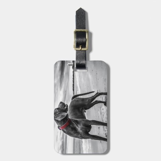 Weimaraner Hund Gepäckanhänger (Vorderseite vertikal)