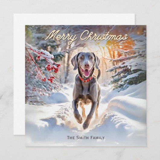 Weimaraner Hund in Schnee Frohe Weihnachten (Vorne/Hinten)