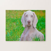Weimaraner Hund Jigsaws. Puzzle (Horizontal)