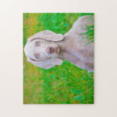 Weimaraner Hund Jigsaws. Puzzle (Vertikal)
