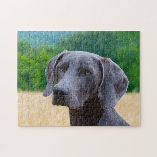 Weimaraner Hund Jigsaws. Puzzle (Horizontal)