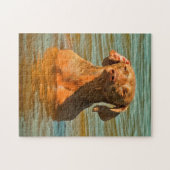 Weimaraner Hund Jigsaws. Puzzle (Horizontal)