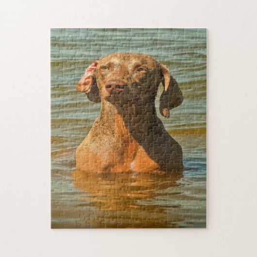 Weimaraner Hund Jigsaws. Puzzle (Vertikal)
