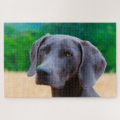 Weimaraner Hund Jigsaws. Puzzle (Horizontal)