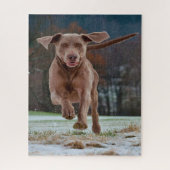 Weimaraner Hund Jigsaws. Puzzle (Vertikal)