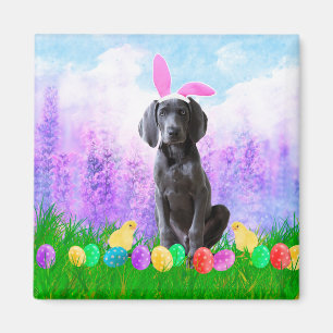 Weimaraner Hund mit Ostereiern Bunny Chicks Magnet