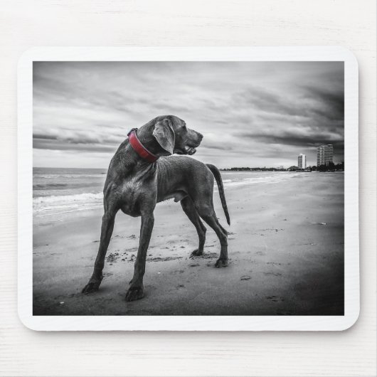 Weimaraner Hund Mousepad (Vorne)