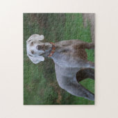 Weimaraner Hund Puzzle (Vertikal)