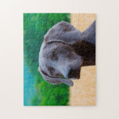 Weimaraner Hund Puzzles. Puzzle (Vertikal)