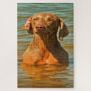 Weimaraner Hund Puzzles. Puzzle