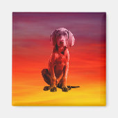 Weimaraner Hund sitzt am Strand Magnet (Vorne)
