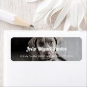 Weimaraner Hund Themed Tier Cool Simple Nice (Insitu)