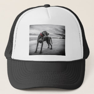 Weimaraner Hund Truckerkappe