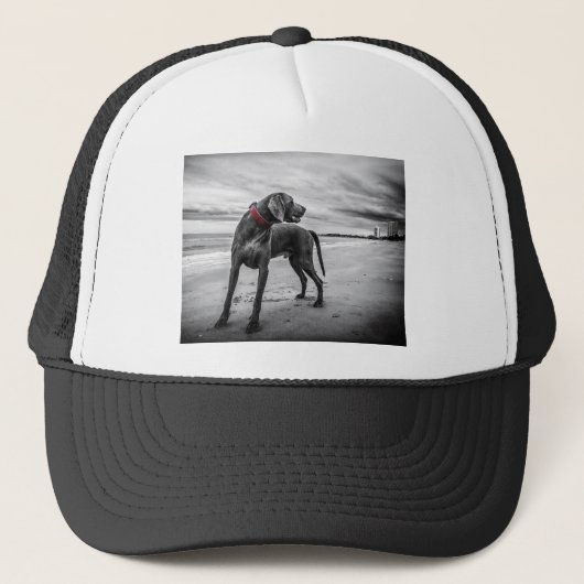 Weimaraner Hund Truckerkappe (Vorderseite)