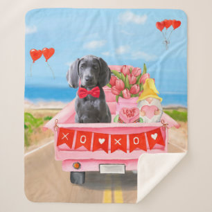 Weimaraner Hund Valentinstag LKW Sherpadecke