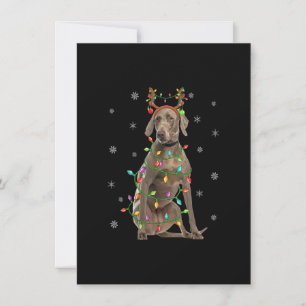 Weimaraner Hund Xmas Licht Reindeer Weimaraner C Einladung
