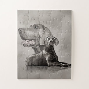 Weimaraner Hunde Collage #2 Puzzle