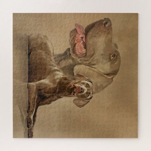 Weimaraner Hunde Collage Puzzle (Horizontal)
