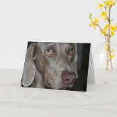 Weimaraner-Hunde-Grußkarte Karte (Gelbe Blume)