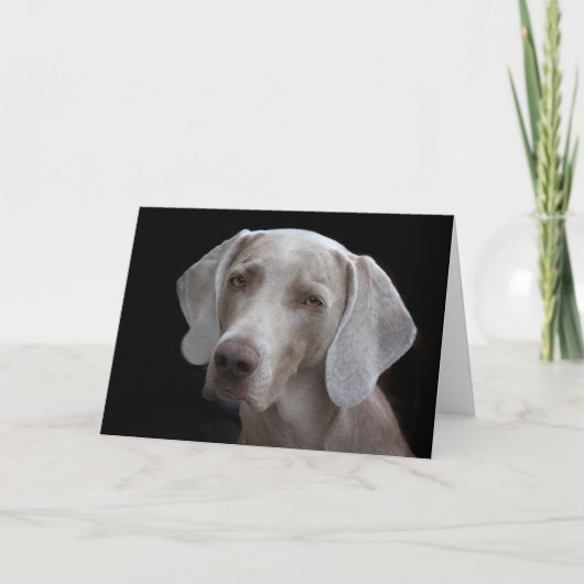 Weimaraner-Hunde-Leerkarte Karte (Vorderseite)