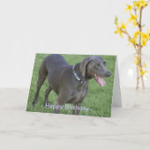 Weimaraner Hundegeburtstags-Karte Karte (Gelbe Blume)