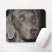 Weimaraner Hundemausunterlage Mousepad (Mit Mouse)
