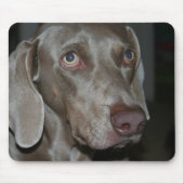 Weimaraner Hundemausunterlage Mousepad (Vorne)