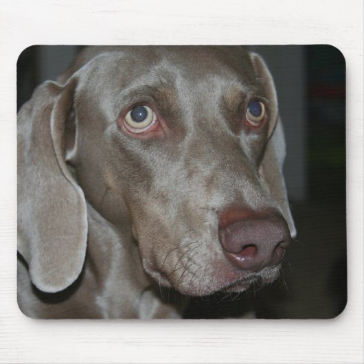 Weimaraner Hundemausunterlage Mousepad (Vorne)