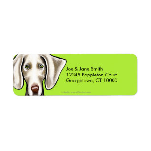 Weimaraner Hundeolive